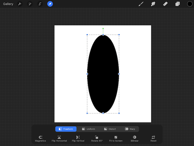 oval on procreate screenshot