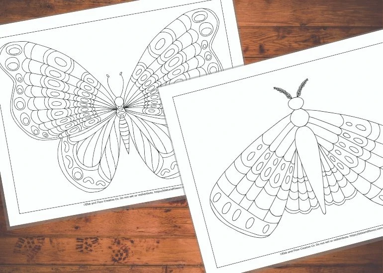 moth and butterfly coloring page