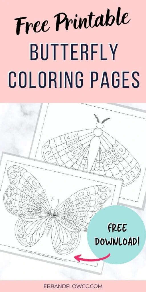 pin image - coloring page with butterfly and moth images