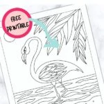 pin image - flamingo page with text overlay