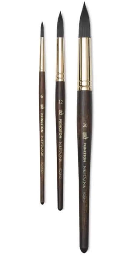 princeton neptune brushes