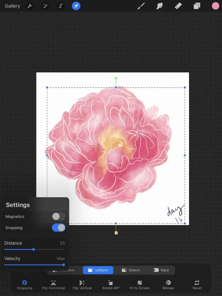 snapping tool in procreate