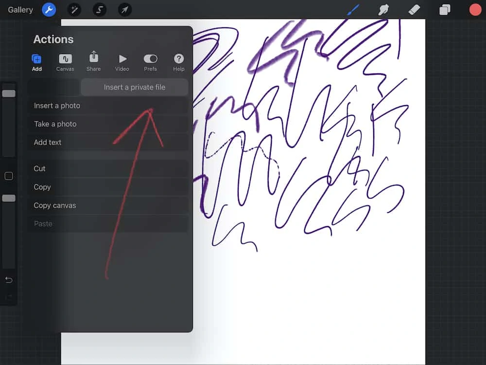 private layer in procreate