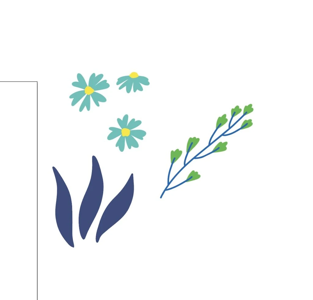 floral elements in illustrator