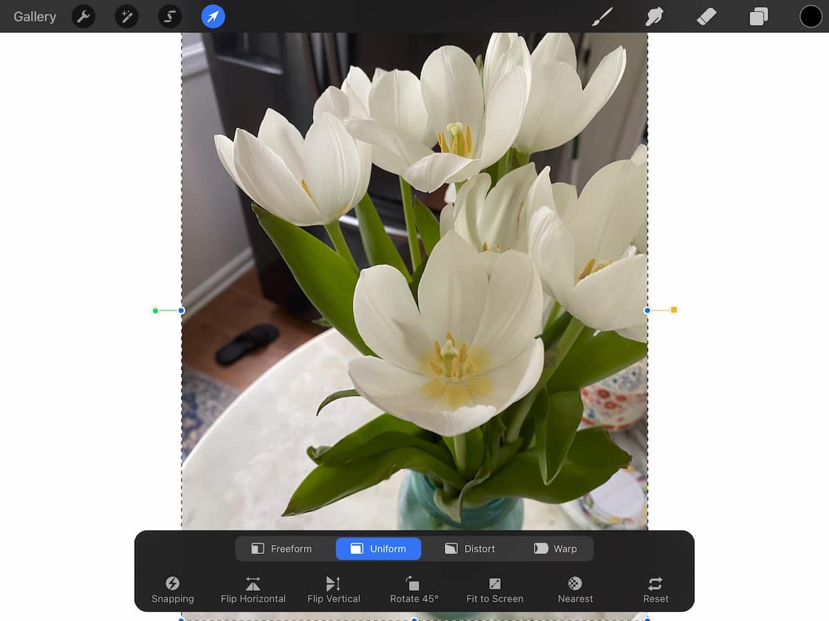 adding photo to procreate