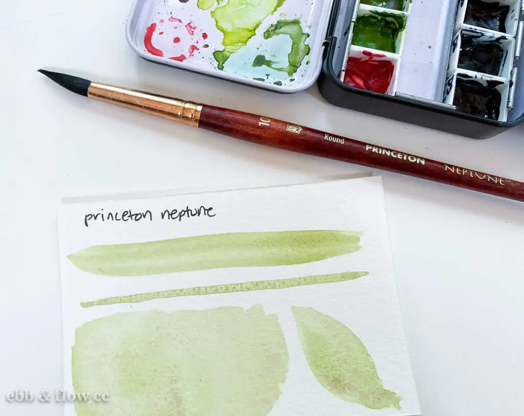 princeton neptune brush swatches