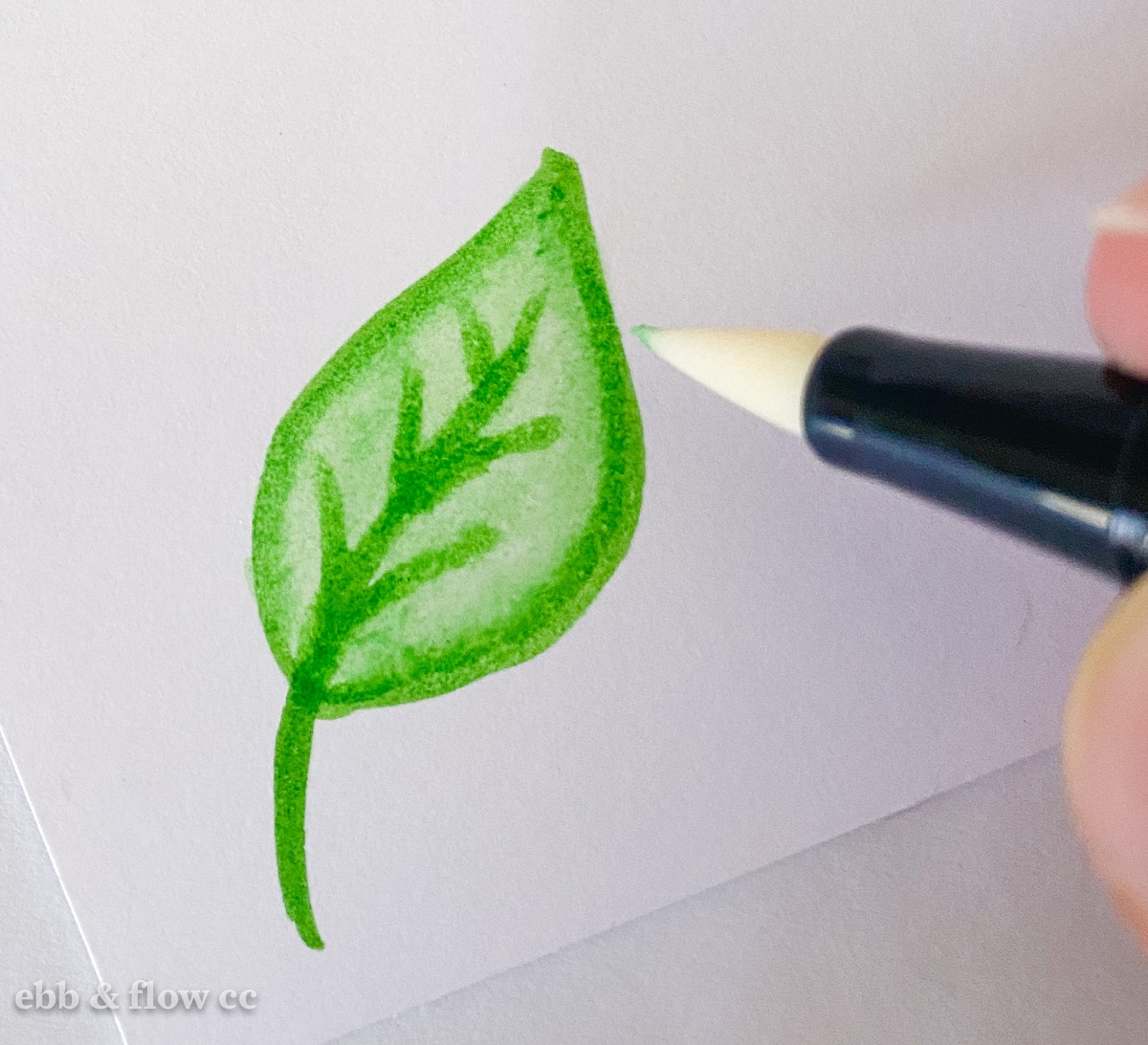 Best markers for adult coloring books: Top 7 ranked Best markers for adult coloring books: Top 7 ranked