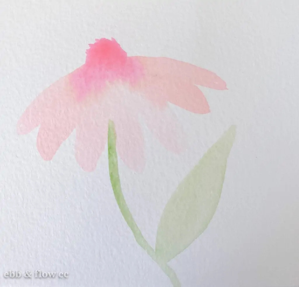 pink watercolor flower