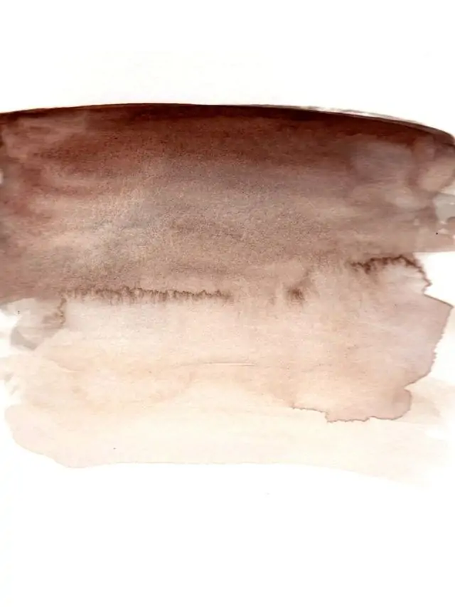 brown watercolor swatch