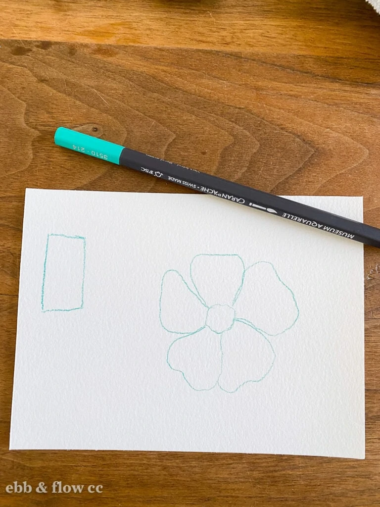 drawing of flower with watercolor pencil