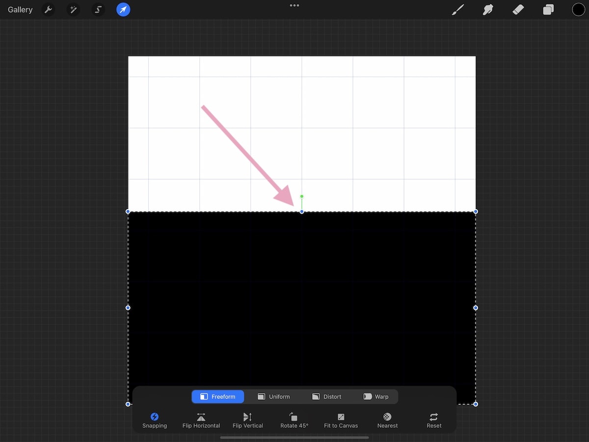 black rectangle in Procreate