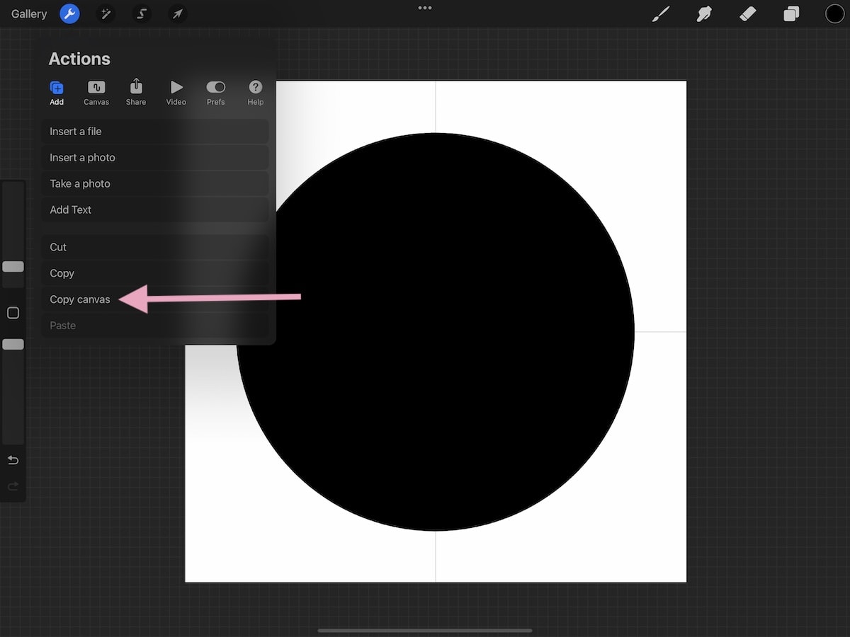 screenshot of Procreate