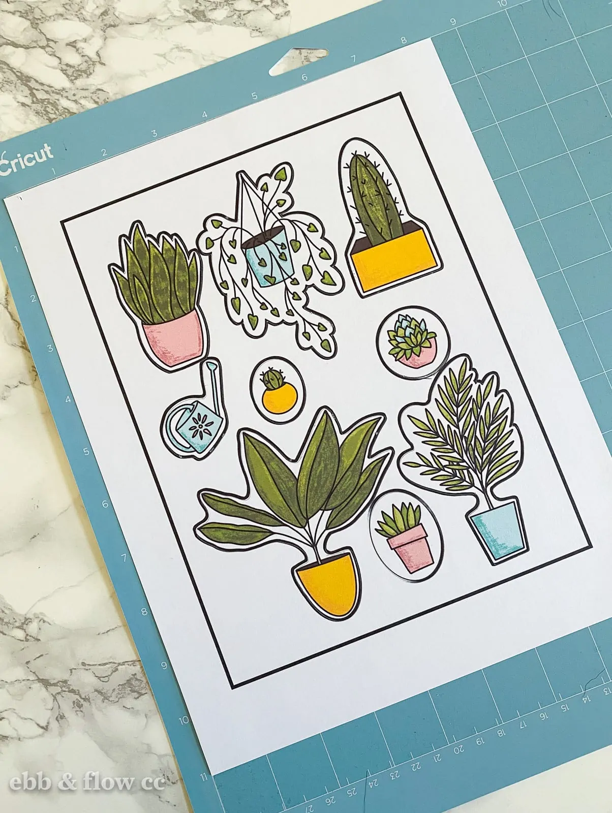 blue Cricut mat with plant sticker sheet