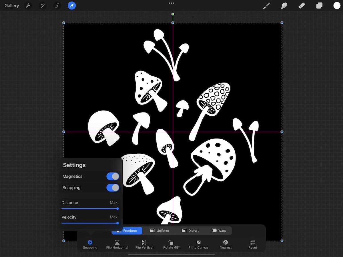 turning on magnetics and snapping in Procreate