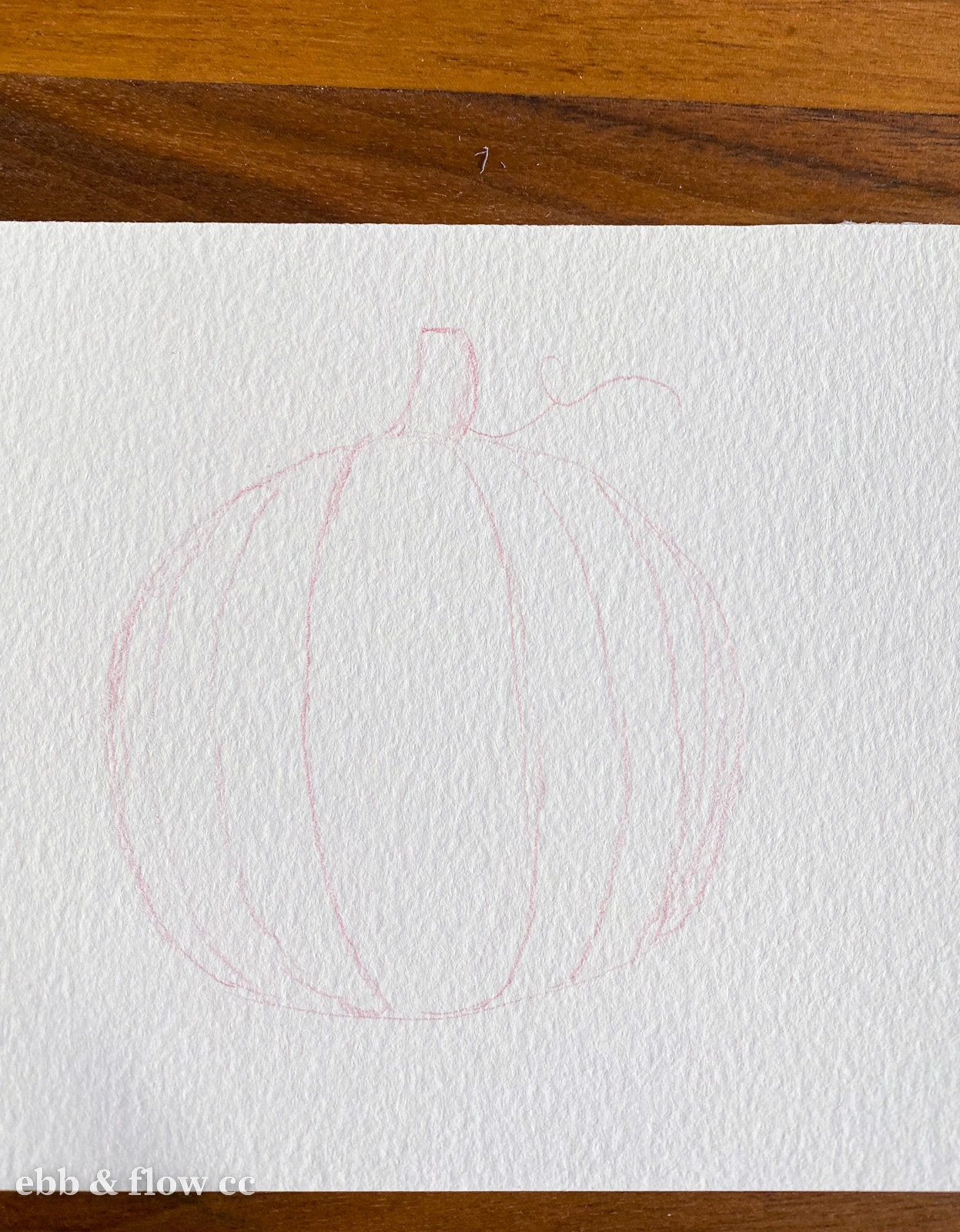 pumpkin sketch