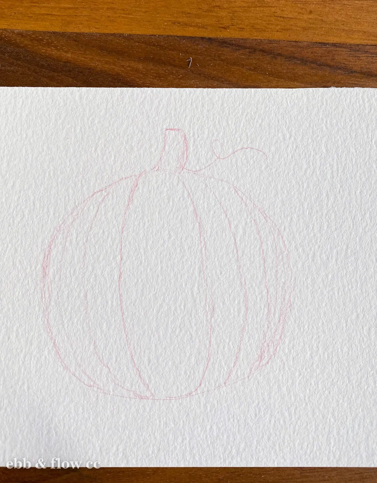 pumpkin sketch