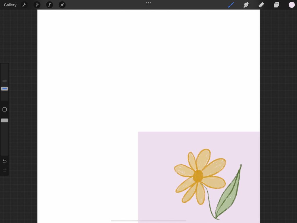 resized canvas in procreate with drawing of flower