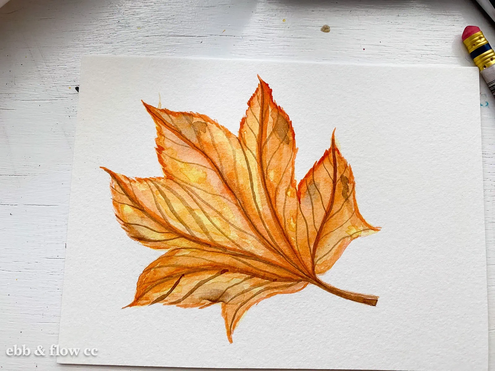 maple leaf painted with watercolor