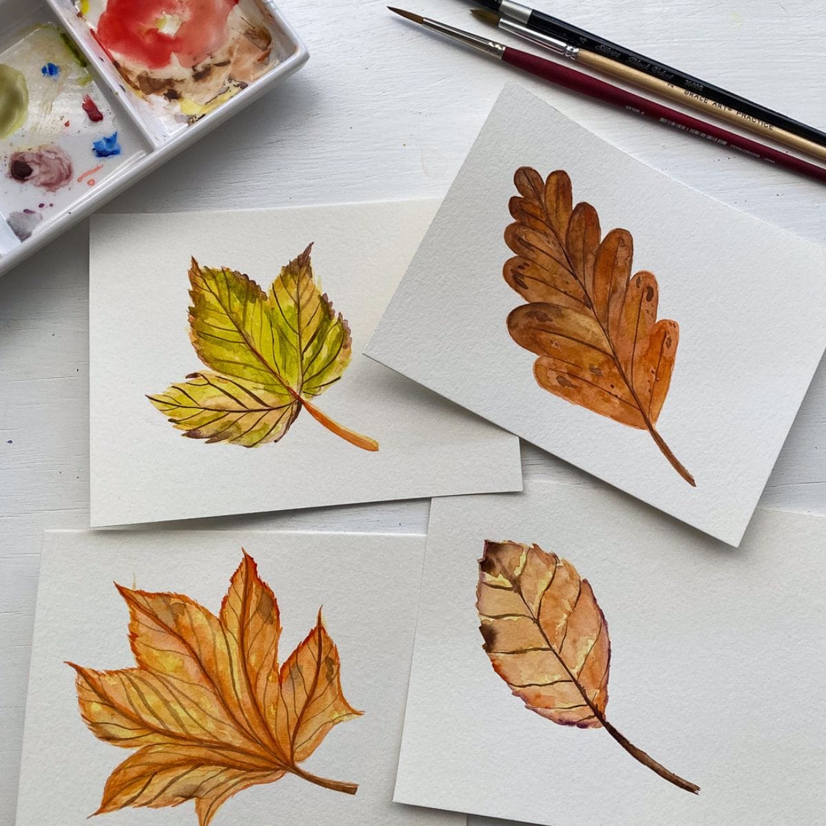 4 paintings of autumn leaves in watercolor