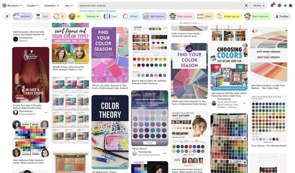 screenshot of pinterest search for seasonal color analysis