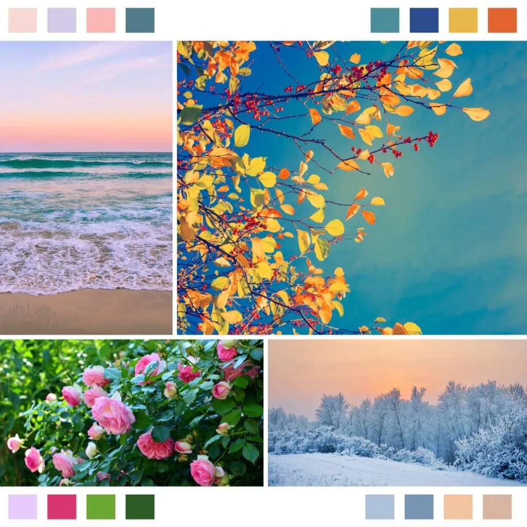 nature photos and color schemes