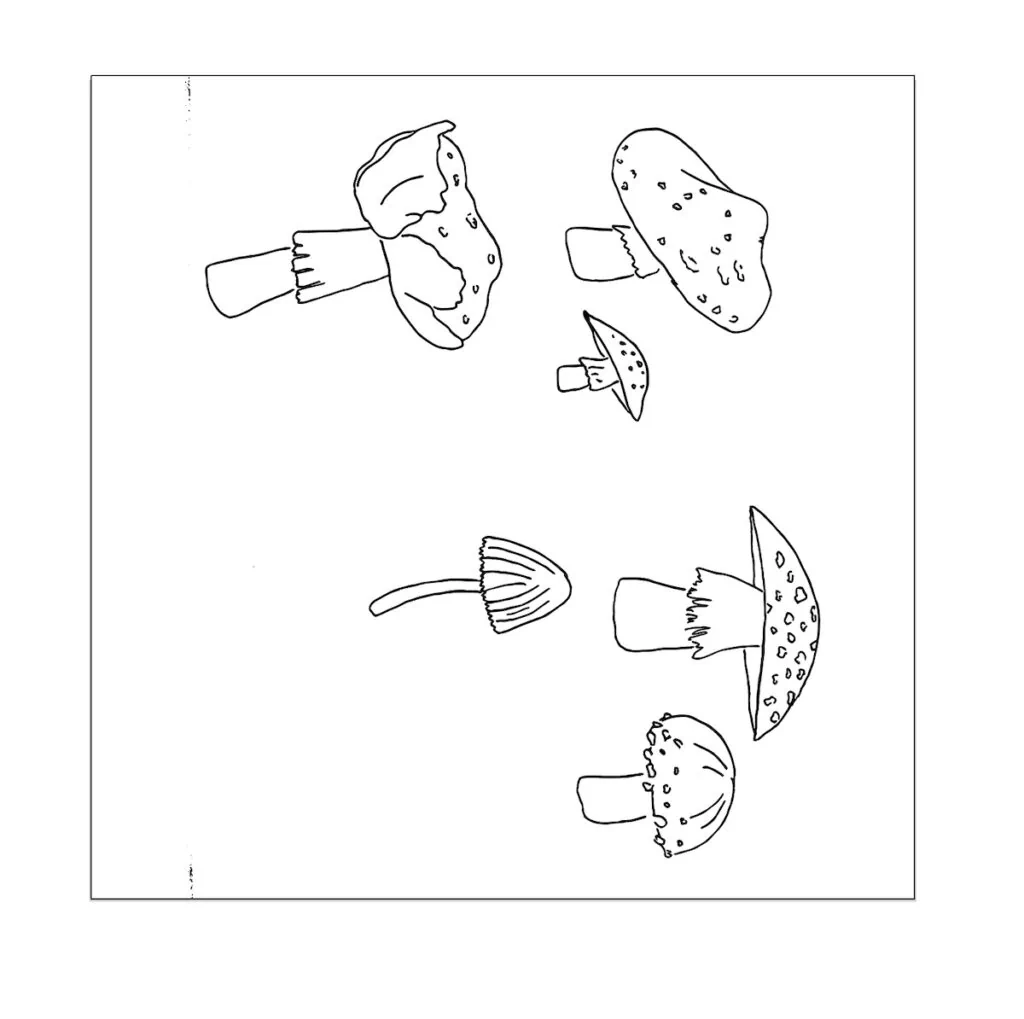 mushroom sketch vectorized with adobe capture