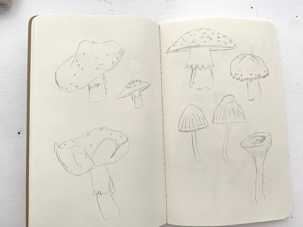 sketchbook with mushroom drawings