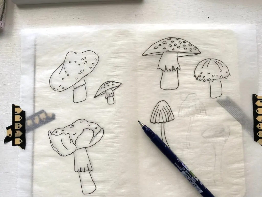 tracing sketches of mushrooms with tracing paper