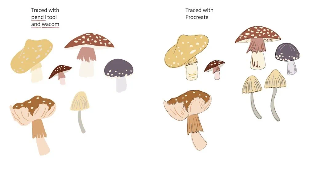 mushroom drawings in adobe illustrator