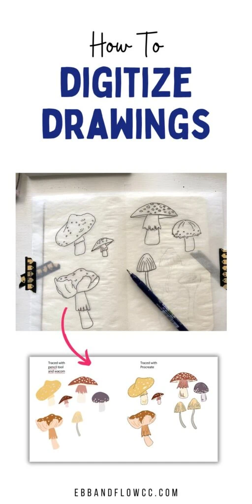 drawings of mushrooms to digital mushrooms