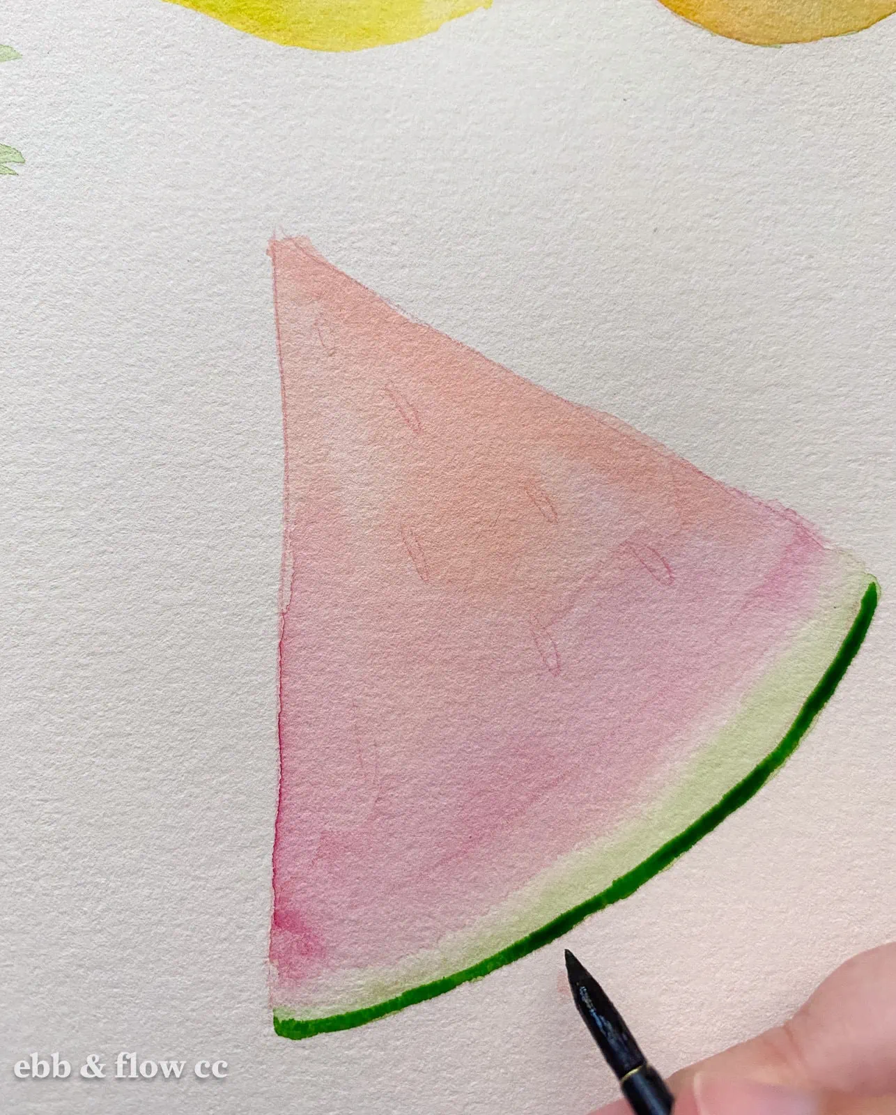painting watermelon in watercolor