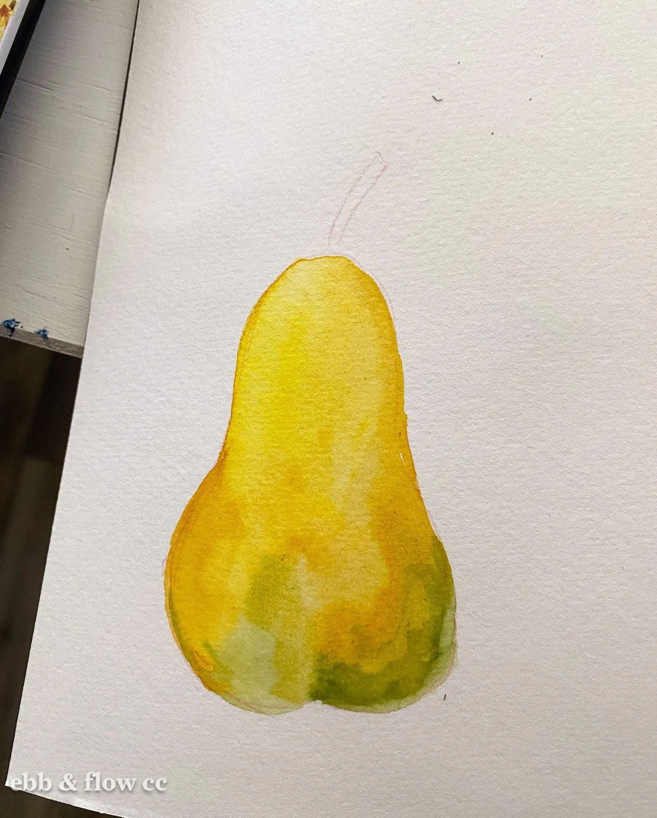 pear being painted in watercolor