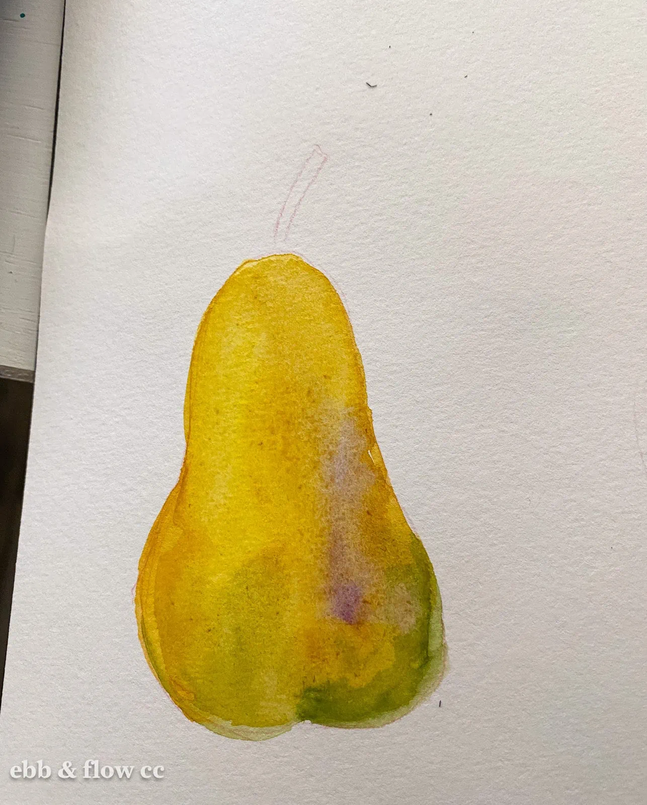 pear painted in watercolor