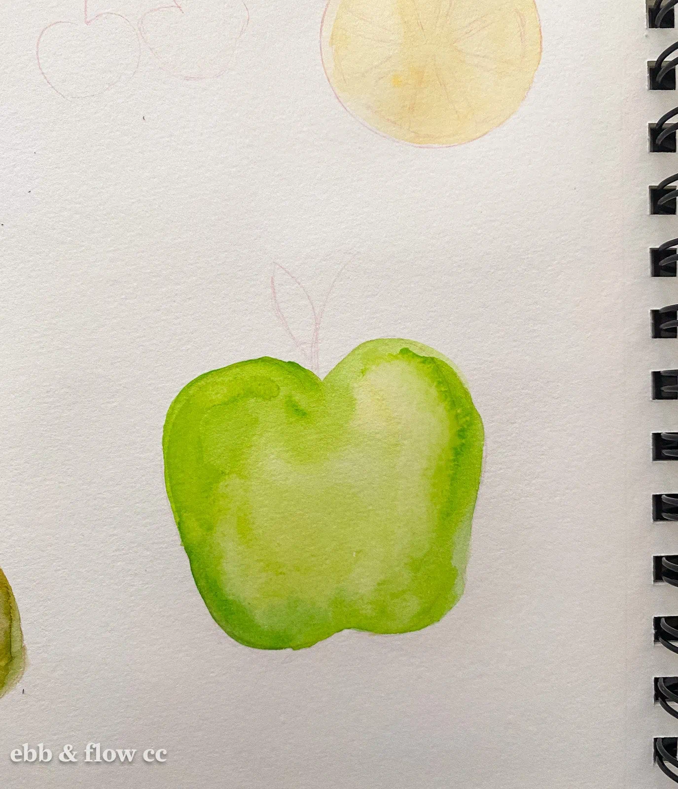 green apple being painted in watercolors