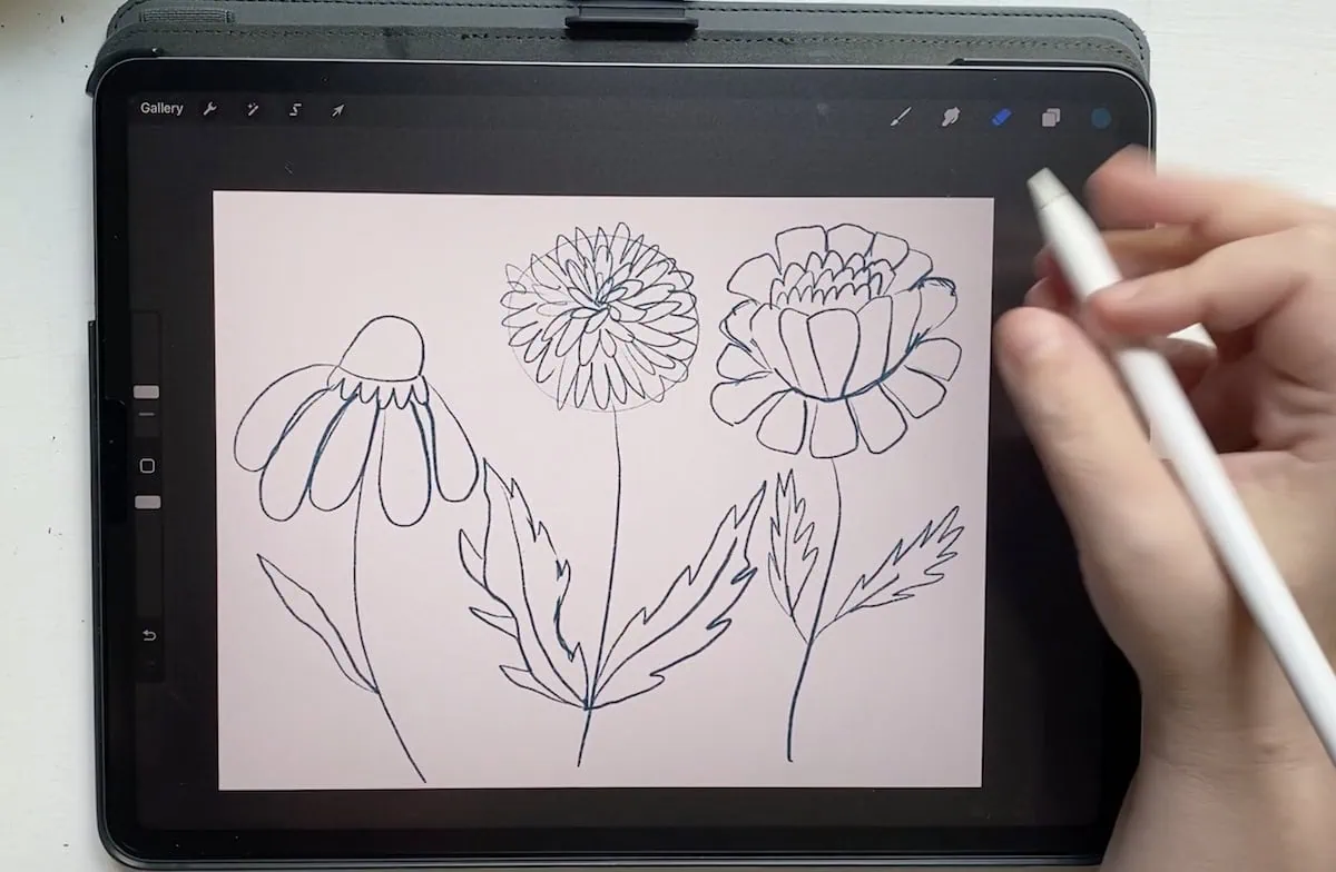 flower sketch on iPad