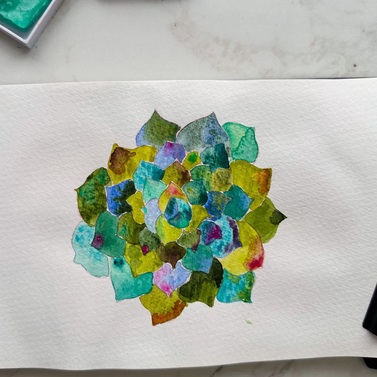 watercolor succulent painted in sketchbook